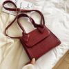 Crocodile Pattern PU Leather Crossbody Bags for Women Chain Female Shoulder Handbags Mini Purses Travel Crossbody Bag