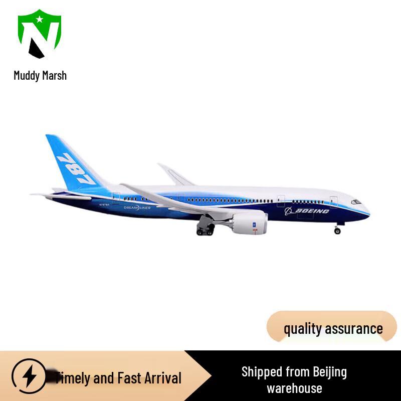 Boeing B787 China Aviation Prototype Model
