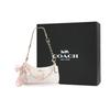 Coach Shoulder Bag [Customized Bag] Teri 25 Brand Micro-label Detachable Strap Bow Silk Scarf Extension Chain Printed Feng Rusong Basic Style