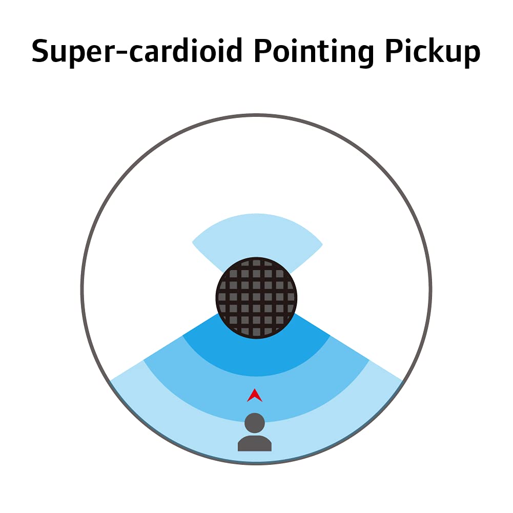 CAROL Microphone XLR Dynamic Microphone Unidirectional Microphone Low Noise Recording Singing Live Broadcast YOUTUBE Game Commentary Video