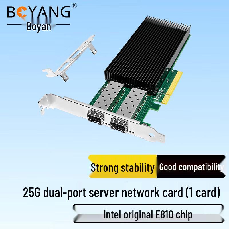 Boyang Intel PCI-E Server Network Adapter (CN Version)