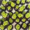 Simulation Mangosteen Squishy Pinch Toys Ball Glitter Petals Slow Rebound Decompress Toys Stress Relief Sensory Pinch Toy Gift