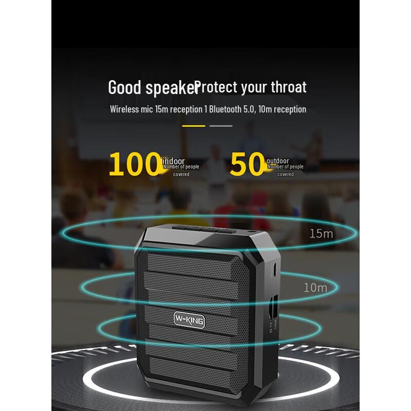 W-King KS10+ Portable Wireless Amplifier