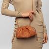 New Bottega Veneta Shoulder Bags 585852-VCP40-7628