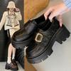 British style loafers women's 2025 spring and autumn new thick heel platform retro fashion small Mary Jane small leather shoes