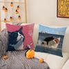 Popular Internet Cute Banana Cat Pillow Case Pattern Printed Pillowcase for Living Room Sofa Cushion Cover & Bedroom Decor