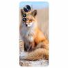For Xiaomi 12T Pro 5G Case 12 T Cat Space Soft TPU Clear Silicone Funda Cases for Xiaomi 12T 5G Cover 12TPro Shockproof 2022