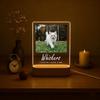 Personalized Pet Exquisite Night Light Custom Acrylic LED Memorial Light Dog Cat Pattern Gift for Pet Owners Cute Night Light