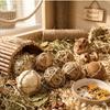 Produse pentru animale – Rozătoare