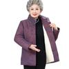 Women's New Chinese Style Padded Winter Coat