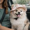 Breathable Pet Sun Hat Adjustable Cat Fisherman Hat Fashion Pet Visor Hat  Outdoor Travel
