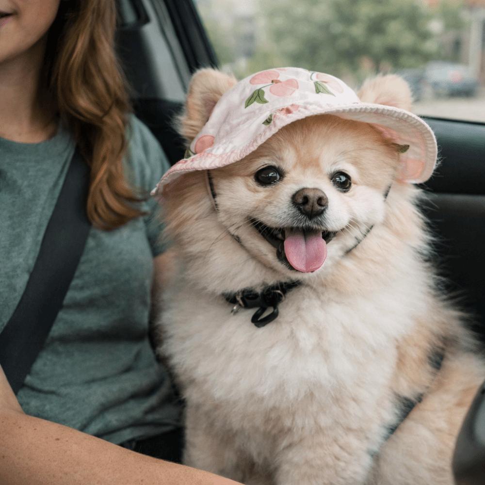 Breathable Pet Sun Hat Adjustable Cat Fisherman Hat Fashion Pet Visor Hat  Outdoor Travel