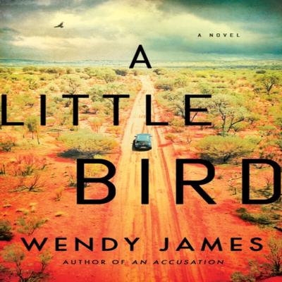 A Little Bird by Wendy James Paperback Book 9781542026482
