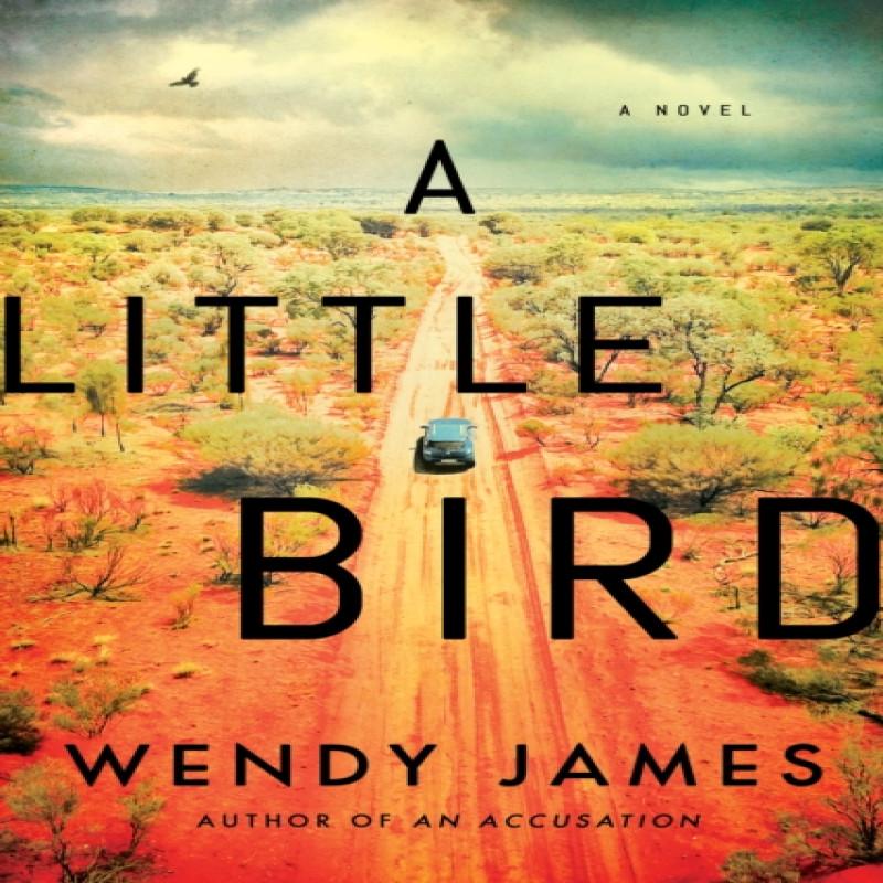A Little Bird by Wendy James Paperback Book 9781542026482