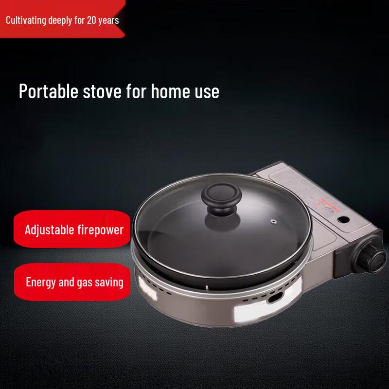 BeiFu Large Portable Gas BBQ Grill with Baking Pan