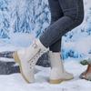 Snow Boots Winter New Medium Tube Retro Large Size Side Zipper Thick Heel Women's Boots