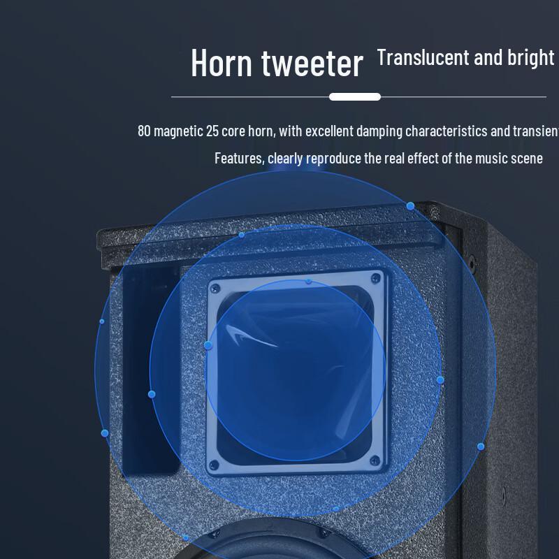 Huidu HD-8 Professional Multi-Purpose Speaker