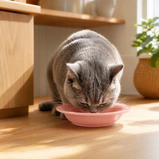 Ceramic Cat Bowl for Dry Wet Food, Microwave Dishwasher Safe Pet Feeder Plate, Whisker Friendly Kitten Food Water Dish