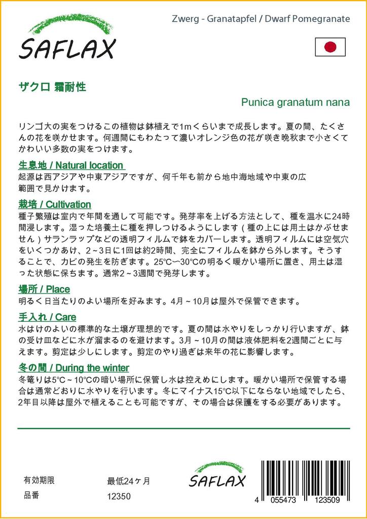 SAFLAX Rodie pitică - 50 de semințe - Cu substrat de ghiveci pentru o cultivare mai bună - Punica granatum nana