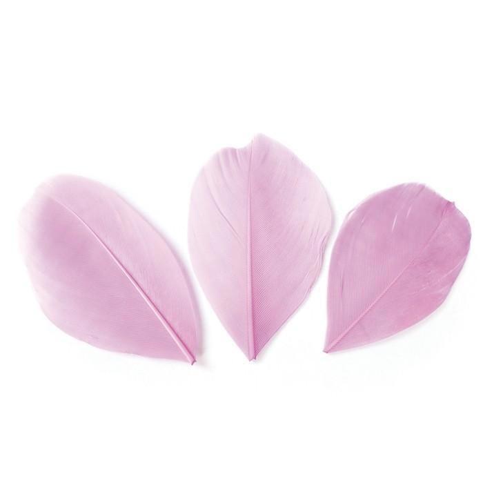 50 plumes coupées - Rose pâle 6 cm