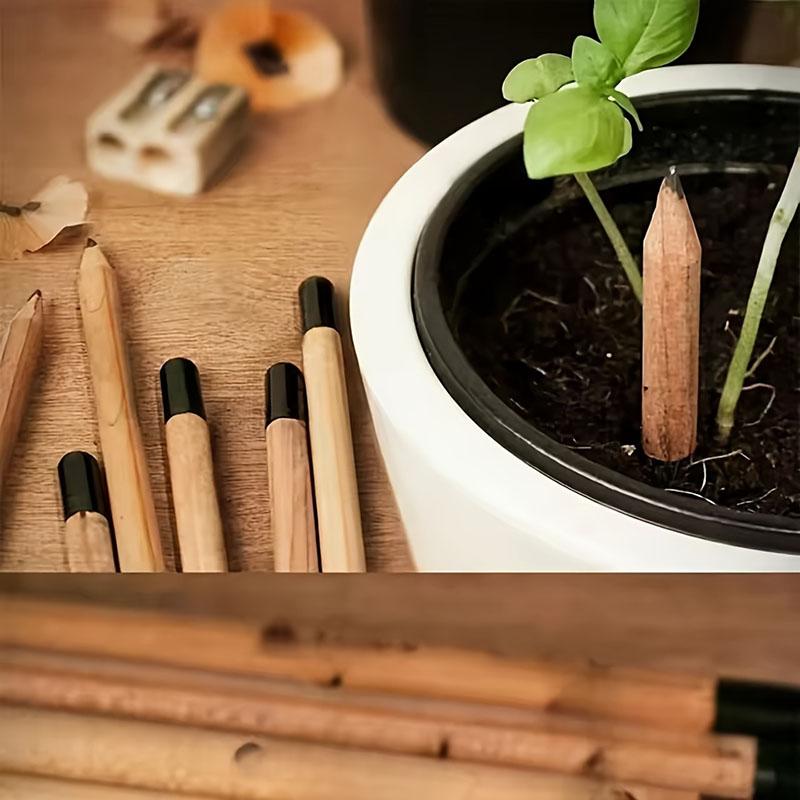 Green Vegetable Gift Pencils - A Wonderful Gift - 8 Pieces per Set