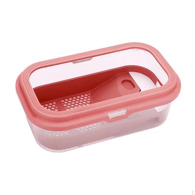 Small Turtle Tank Reptile Breeding Hatching Area with Platform Detachable Habitat for Frog