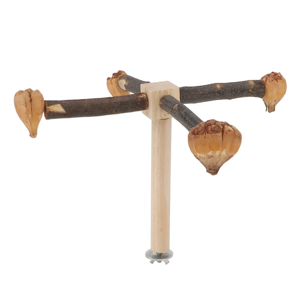 Rotating Parrot Perch Toy Interactive Training Wooden Bird Stand Exercise Toy with Chew Toy for Bird