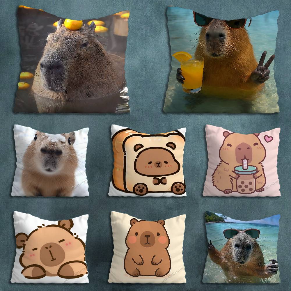 Cute Lindos Capibaras Various Sizes Square Pillow Case For Car Home Bedchamber Decor Birthday Gift