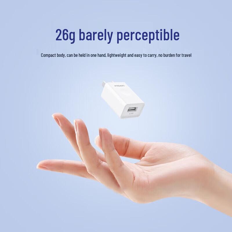 Pisen 1A Single Port Mini USB Wall Charger
