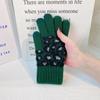 Driving Keep Warm Simple Leopard Windproof Female Gloves Velvet Thick Mittens  Gloves