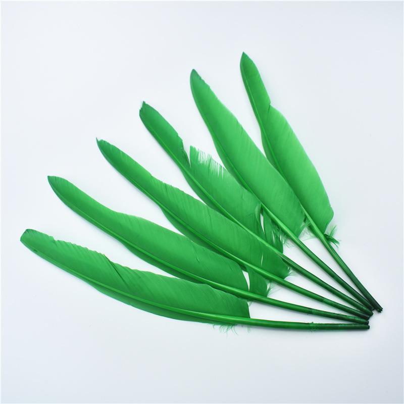 

50 шт. Перо индейки Утиное указательное крыло Гусиное перо Поделки 25-30 см длиной Белый Черный Аксессуары Карнавальный набор трава зеленый