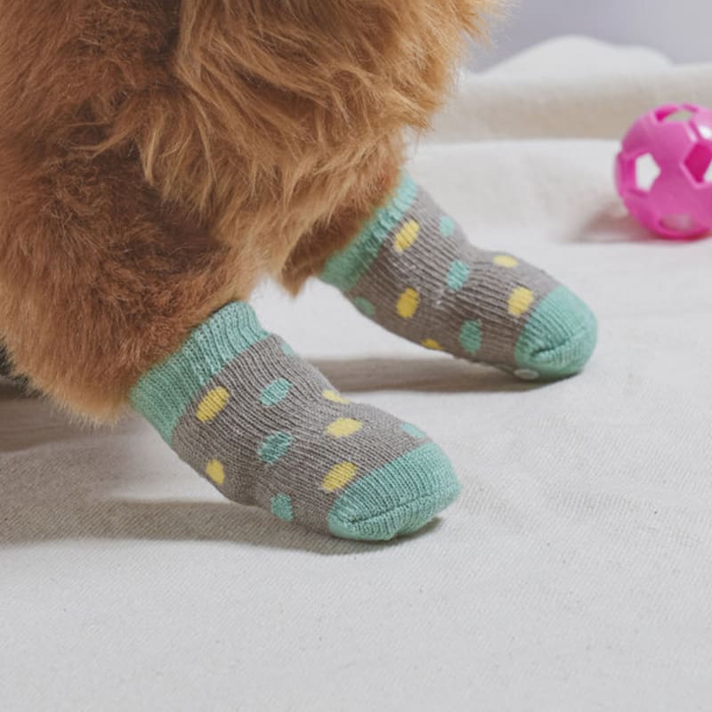 [Pet] Dog Fashion Socks M