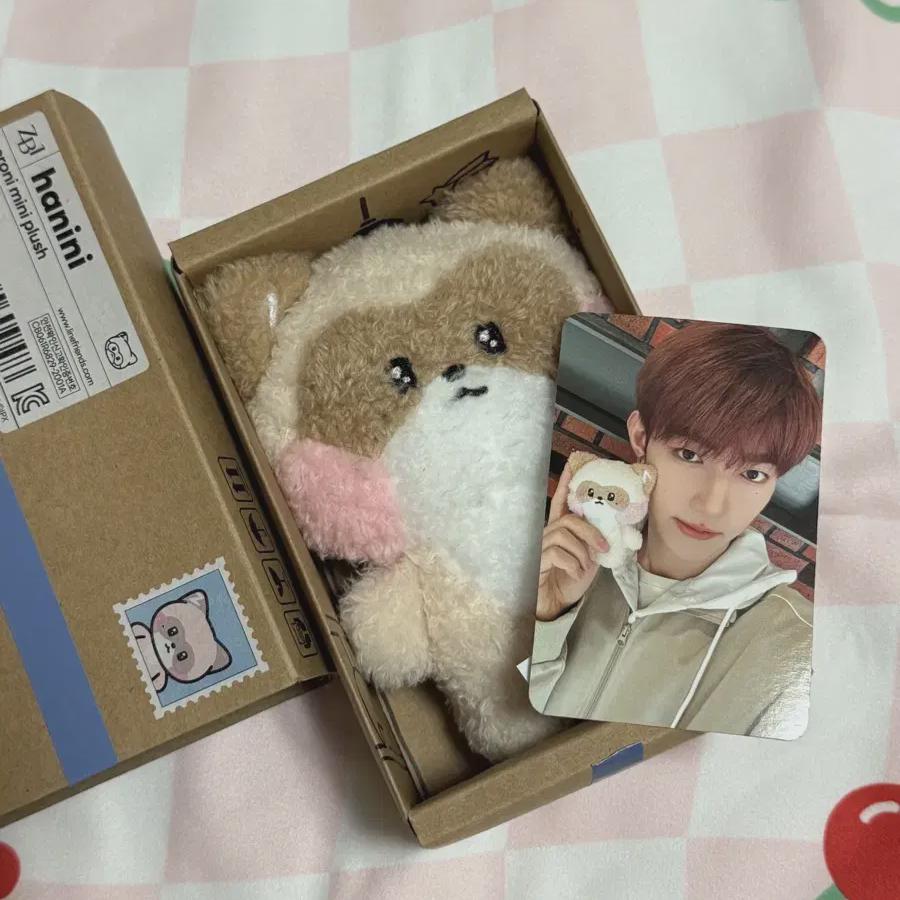 

Zerobaseone Zerony Hanini 1-й Poca в комплекте