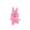 Pink Rabbit Plush Keychain - Cute Cartoon Doll Pendant Gift
