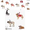 Factory Direct Horse Riding Costume For Pets Cosplay Knight Costume For Dogs