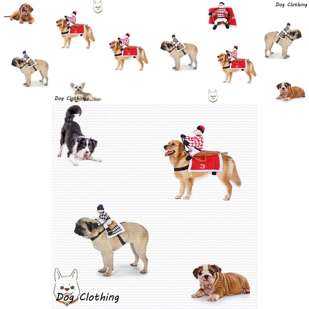 Factory Direct Horse Riding Costume For Pets Cosplay Knight Costume For Dogs