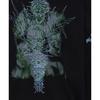 We11done Ss24 Skull Print Hooded Long Sleeve Sweatshirt Unisex sweatshirt Black WD-TH1-24-722-U-BK