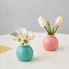 Simple Ceramic Mini Vase Incense Bottle, Hotel Home Decoration Perfume Diffuser, Living Room Office Dry Flower Hydroponics