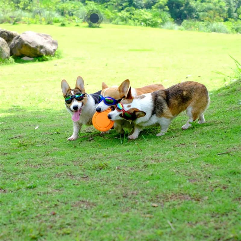 Adjustable Padded Dog Sunglasses Goggles Collapsible Pet Accessories for Medium Dogs Motorcycle Glasses