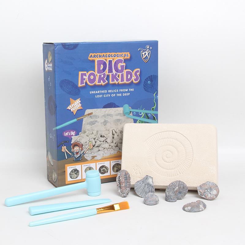 Children s Archaeological Fossil Dig Toy: Marine Shells & Ancient Gem Treasures
