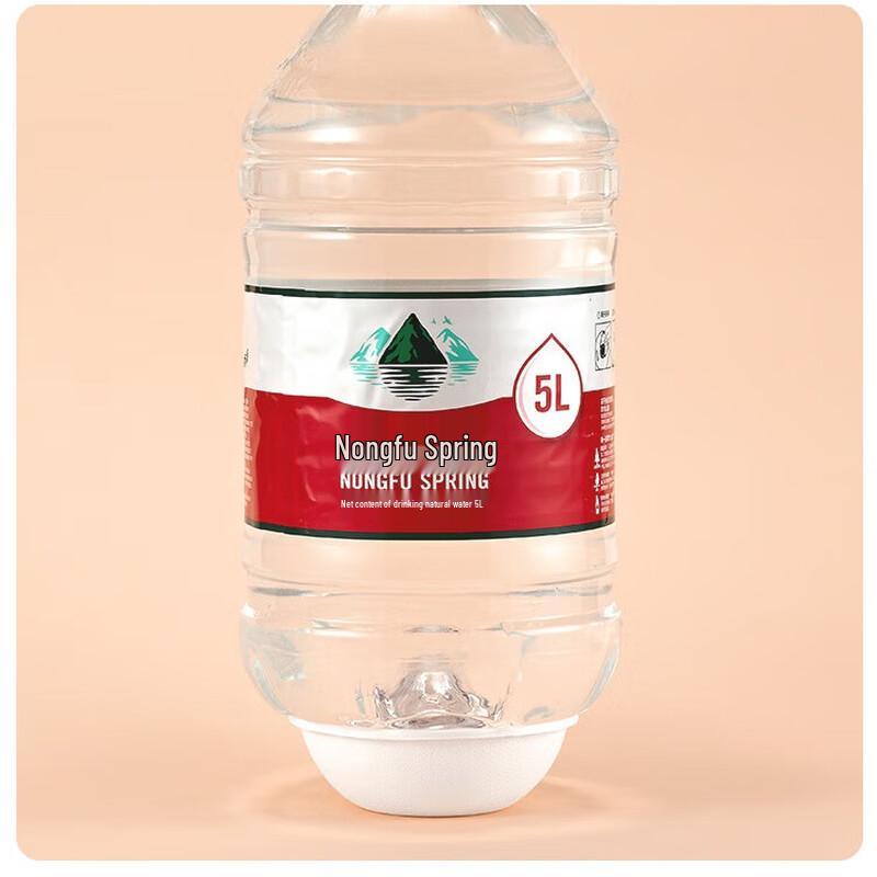 CIBO Disposable Dinnerware Set