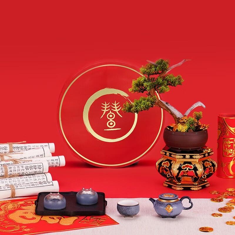 Edenus Chinese Gongfu Ceramic Tea Set with Tea Tray
