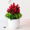 Mini Potted Grass Bonsai: Cherry Snowball Home Decor Ornament