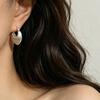 1011 new Korean version irregular lock bag matte brushed earrings women's new light luxury niche fashion earrings