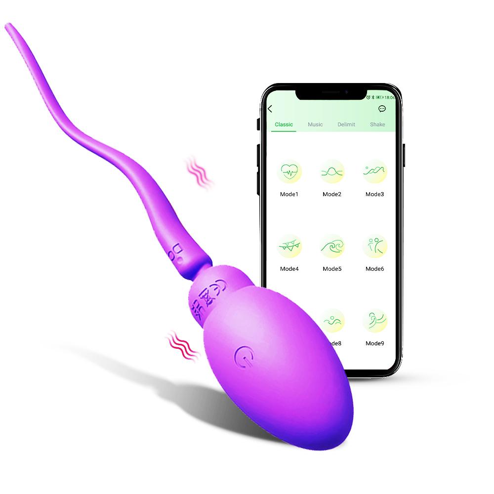 APP Bluetooth Control Panty Wearable Mini Vibrator for Women G Spot Massager Wear Vibrating Love Egg Female Sex Toys for Adults