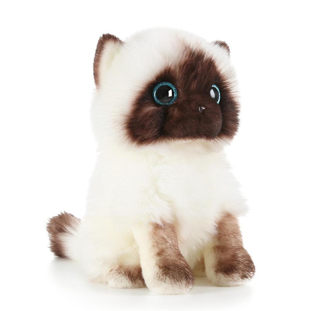 21cm Simulation Siamese Wohnkultur Spielzeug Plüsch Spielzeug Kinder Braun S Tun Augen Weiß Und Geschenke Sequ Z3X3