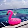 Ins hot selling Firebird cup holder inflatable water coaster floating beverage cup holder