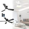 Ceiling Fan Light With Blades For Bedroom And Living Room Decor