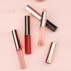 Portable Multi-purpose Mini Translucent Silicone Concealer Brush Lipstick Brush Smudge Brushs Cover Round Head Makeup Brush