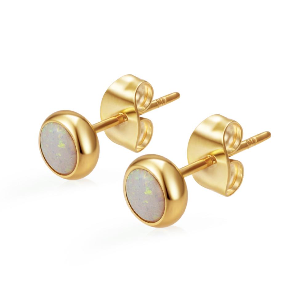 Special for round stainless steel zircon stud earrings women's trend versatile multi-color earrings PVD18K real gold earrings